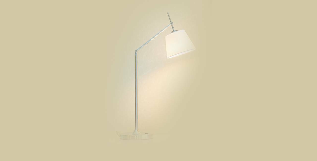 Swing Arm Lamp